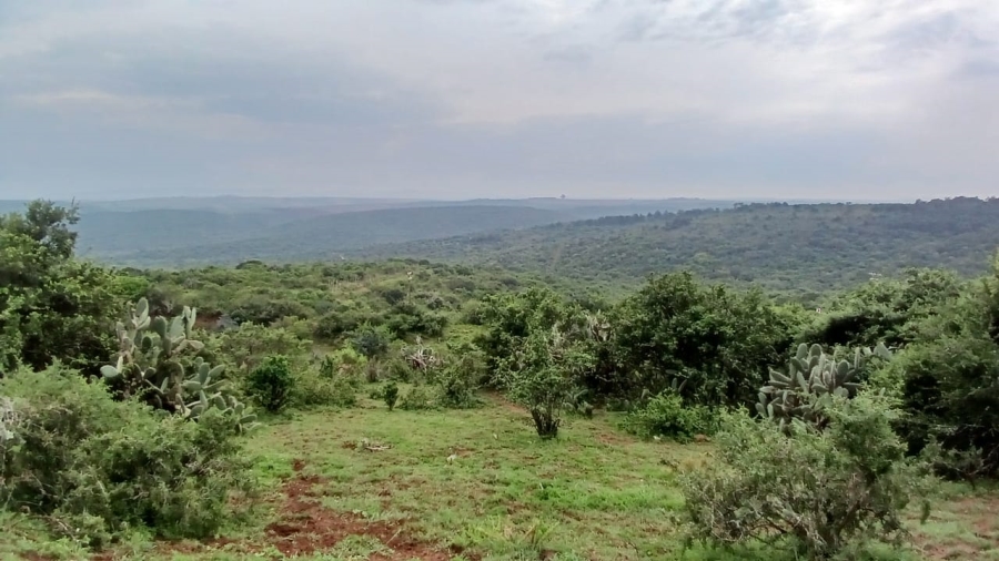 Commercial Property for Sale in Bathurst Rural Eastern Cape